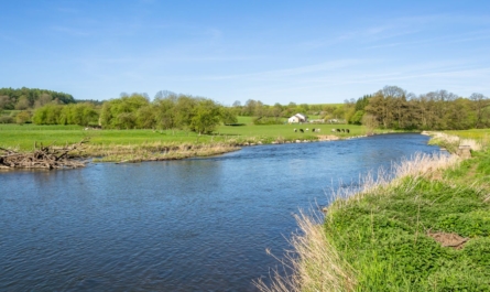 Qualité des eaux : des objectifs atteignables ?