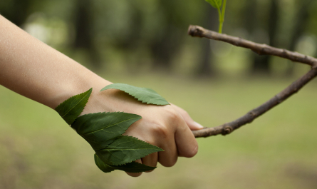 27 propositions pour des procédures de permis d’environnement simplifiées 